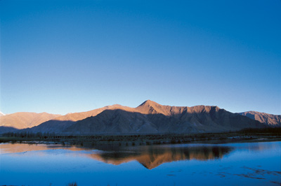 �տ�����