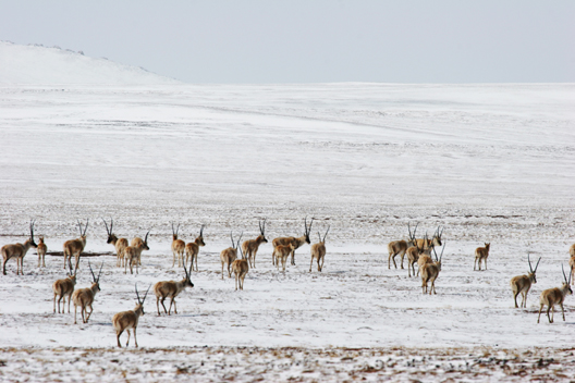 ����Ұ������