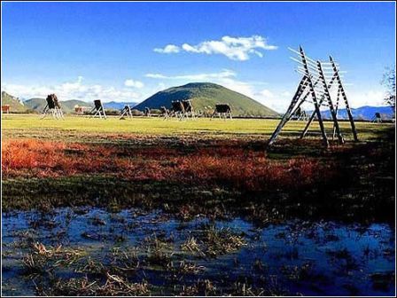 �������